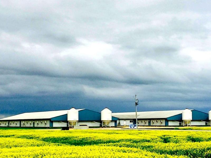 SIEMENS SAYS: Agriculture ministers stress unity but farmers still wait for certainty