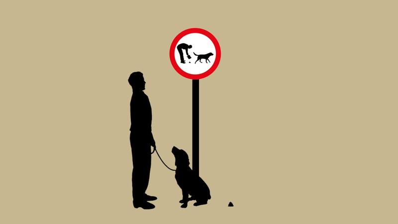 Caca de perro en la ciudad