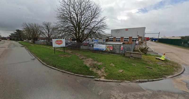 Del Monte factory could start producing gas and fertiliser from fruit waste