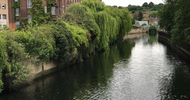 Section of popular riverside walkway to close for repairs