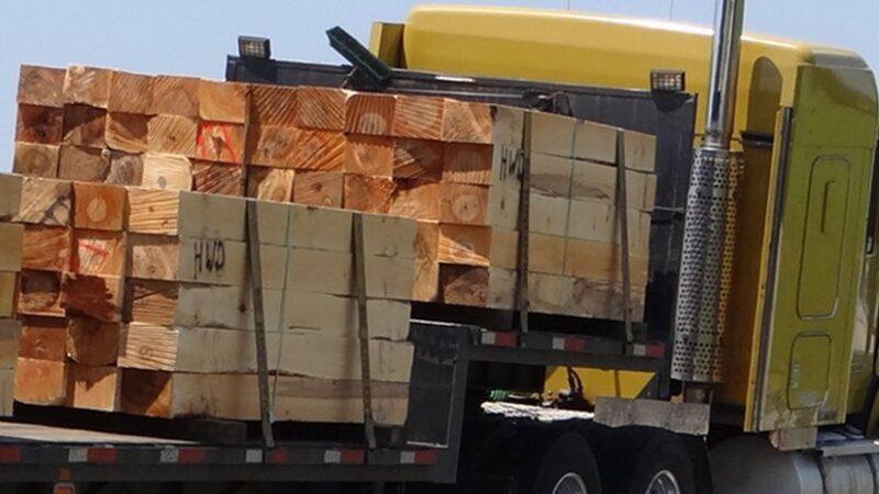 How Much Wood – OpEd