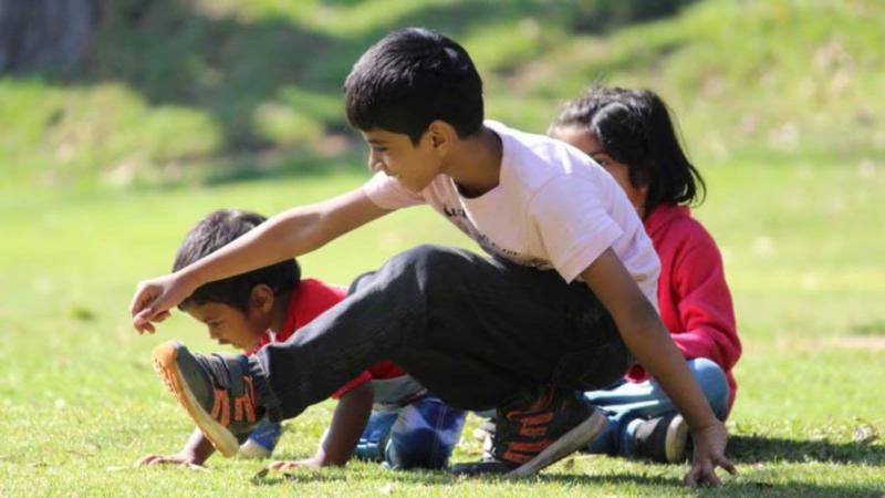 What grandparenting boys taught me about love, patience and play
