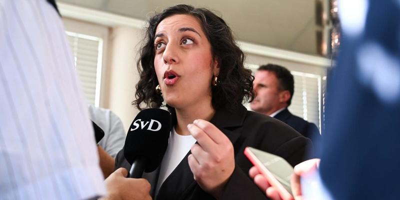 Liberalerna behöver ett mindre liberalt ledarskap