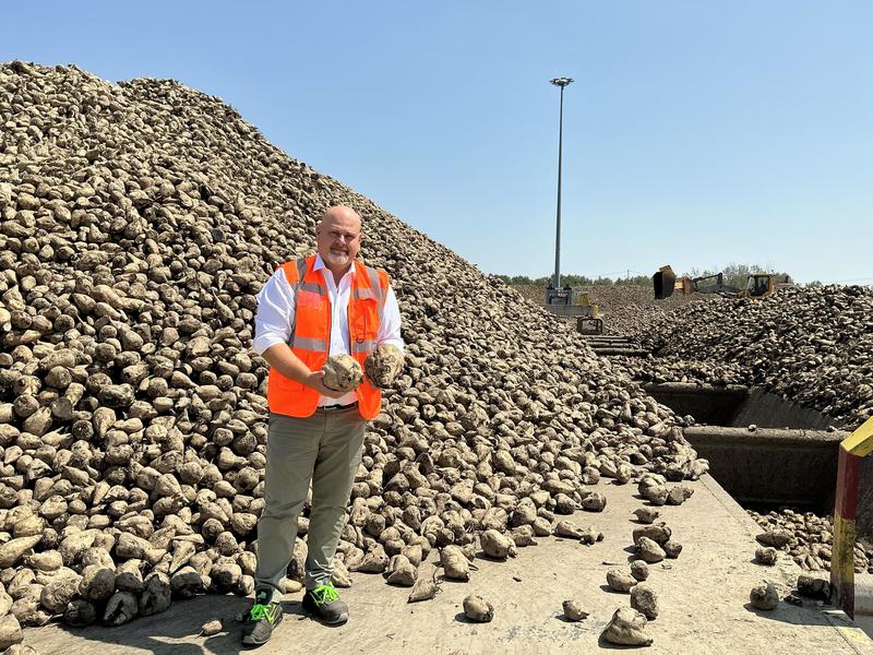 Produttori di barbabietole in Lombardia, sfida d’oltreoceano: “Un danno l’accordo Ue-Mercosur”