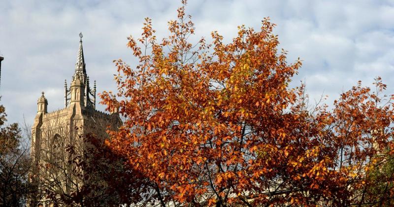 Norwich named among best UK cities to visit in autumn