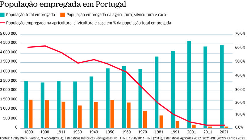 Fogos rurais: o que deveria ter sido feito desde há 75 anos e ainda não foi