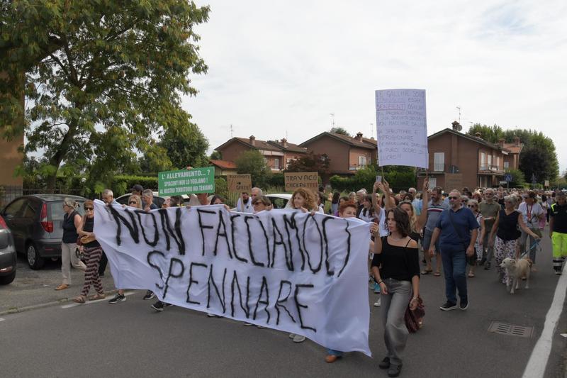 La protesta di Travacò Siccomario contro l’allevamento di polli: “Non lo vogliamo