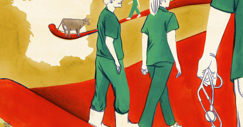 La Creuse déroule le tapis rouge aux blouses vertes des vétérinaires