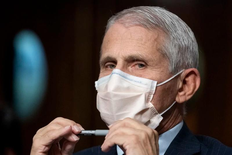 Now we know why Fauci got a pardon