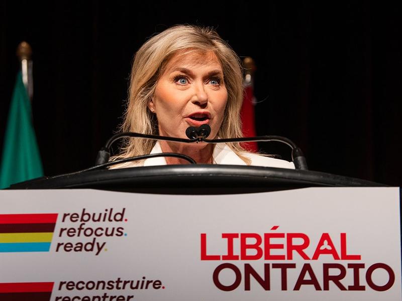 Chris Selley: If not Bonnie Crombie, then who do Ontario Liberals consider electable?
