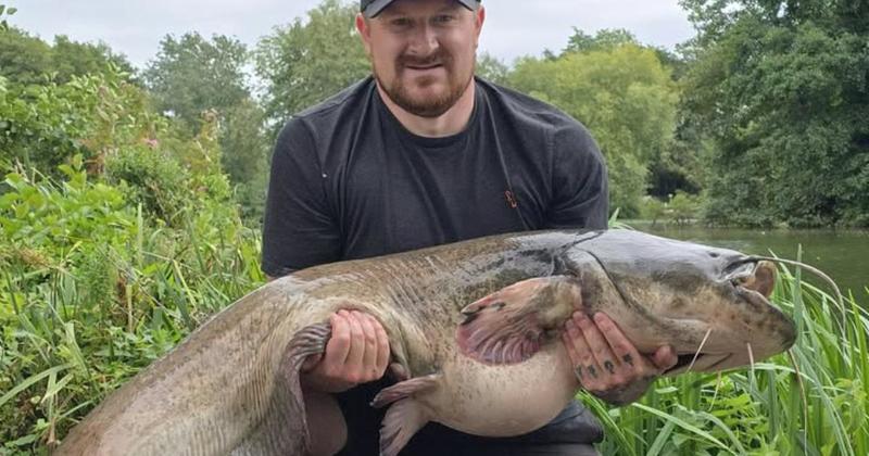 Angler reels in enormous 62lb catfish