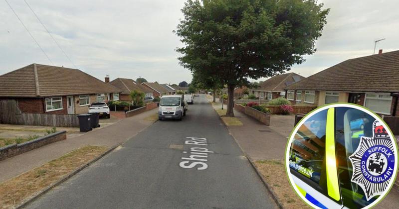 Hedge cutter stolen after vehicle raided by thieves