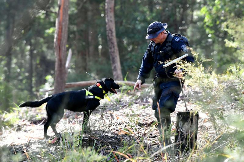 Understanding the grisly group dynamics of people who hide bodies after a murder