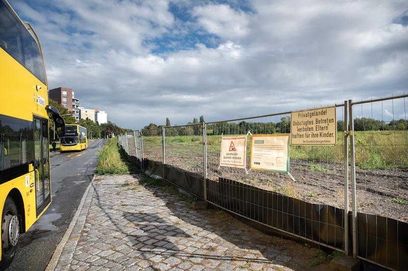 Neubauten in Lichterfelde: Mietpreise explodieren – Ameisen blockieren!