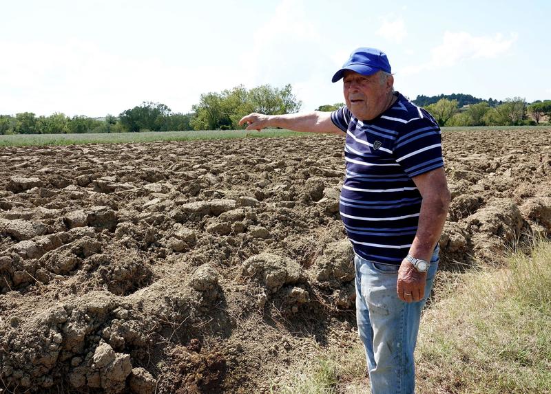 Nuovi attacchi di lupi: “Ora colpiscono di giorno”