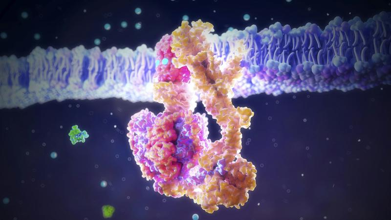 Molecular ‘fossils’ offer microscopic clues to the origins of life – but they take care to interpret