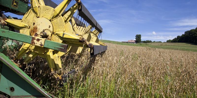 Farmers are in Trouble—Restructuring the USMCA Could Turn Things Around