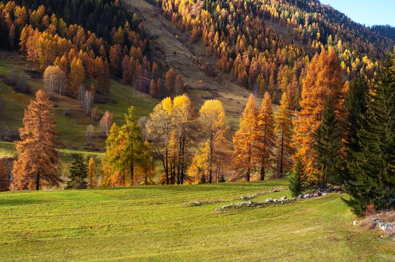 Mein kunterbunter Herbst steht vor der Tür