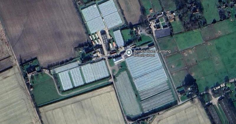 Plans for homes refused amid concerns about noise from berry farm
