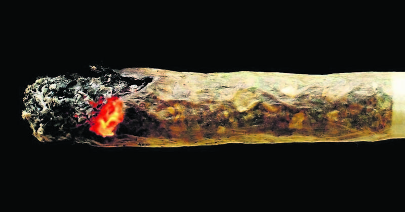 A message to Dáil: Beware the health risks of cannabis