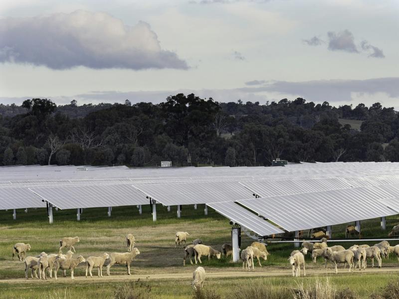 Battle for the bush? Ignore the noise – most farmers like renewables