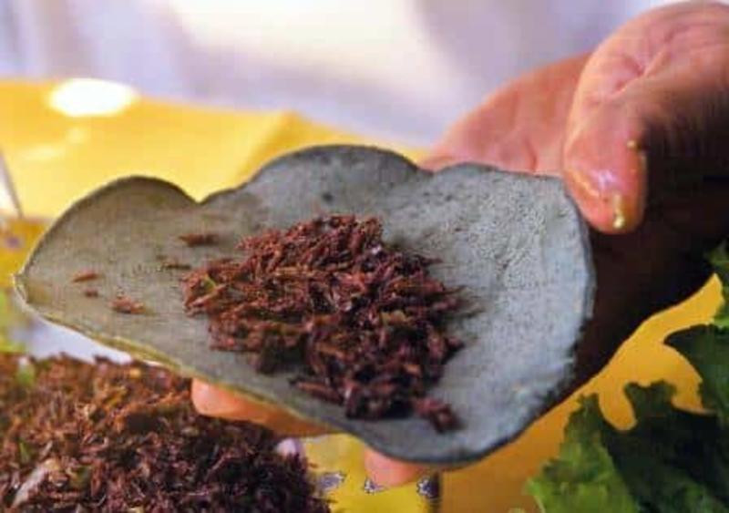 Guácala