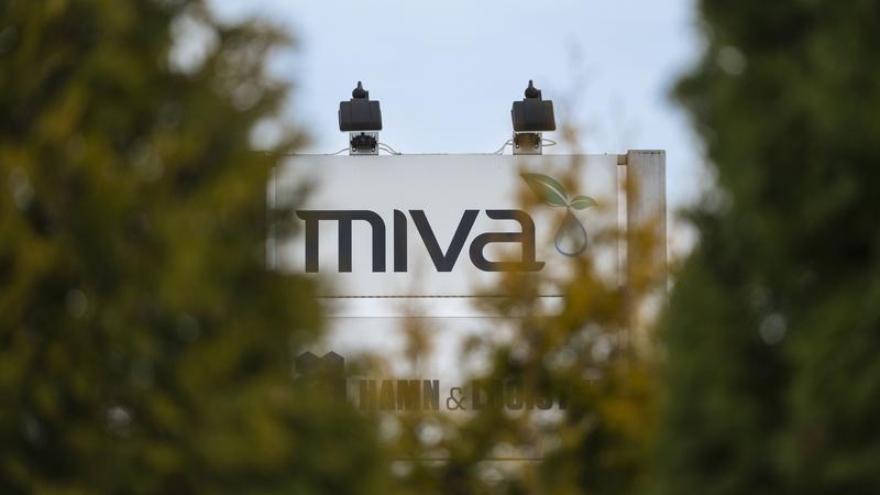 Kan Miva ha kvar sin vd?