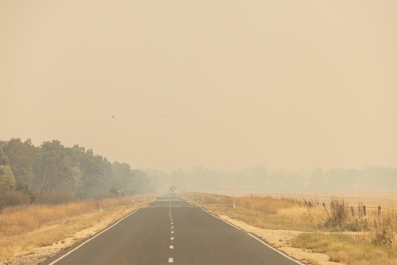 Politics with Michelle Grattan: Tony Wood on ‘politics trumping climate policy’ and the hard road ahead