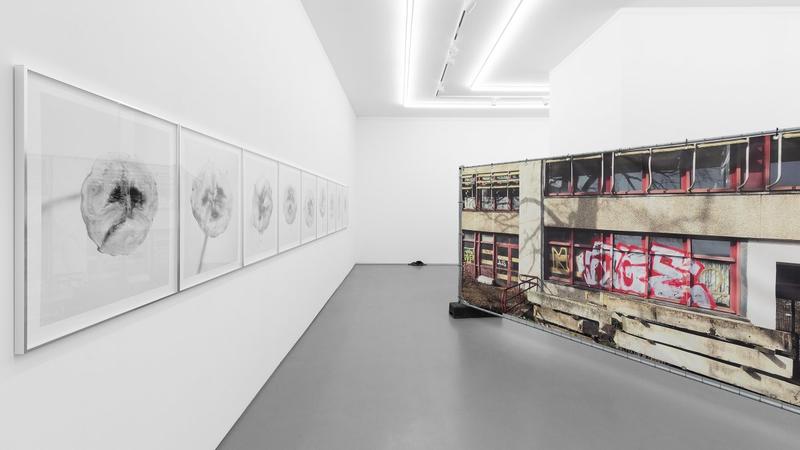 Ausstellung von Andrea Pichl und Eric Meier: DDR-Erbe und eine Banane names Frank