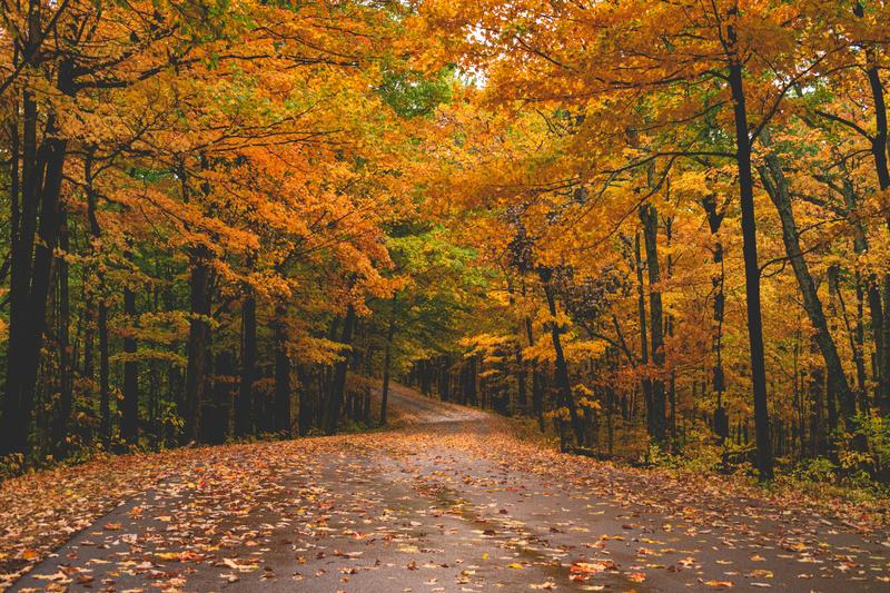 Autumn Adventures: America’s Most Magnificent Fall Road Trips