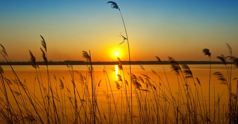 On Becoming a Spiritually Competent Psychotherapist
