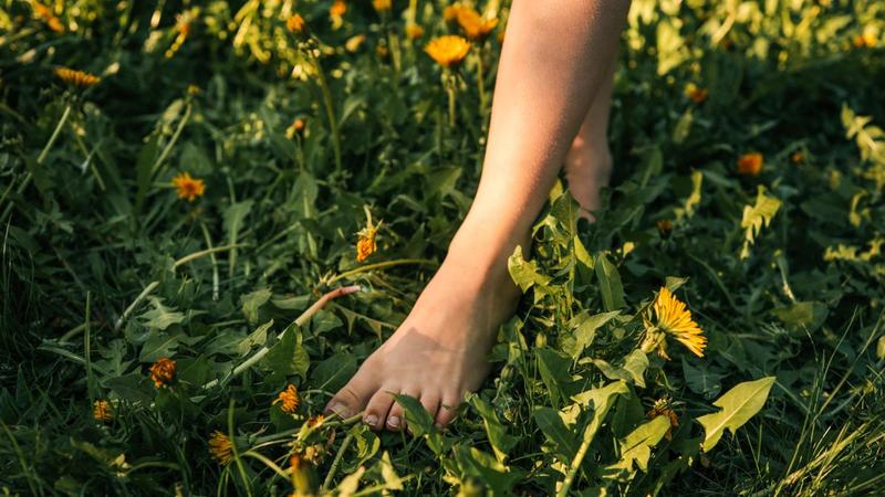 Darüber wächst kein Gras