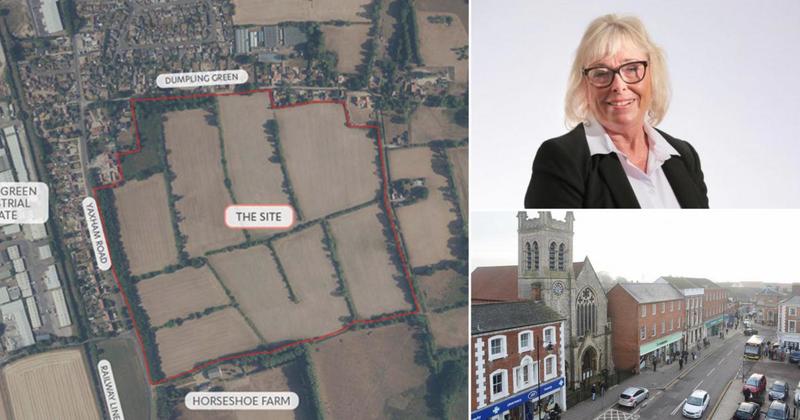 Government housing targets putting pressure on small towns, says councillor