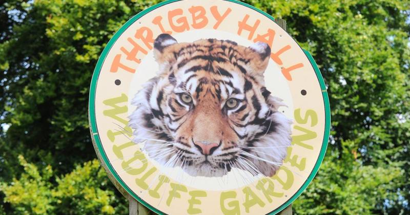 Leopard that touched the hearts of everyone dies at zoo