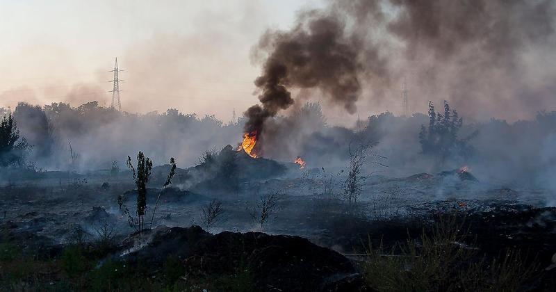 “Cura del Creato, tutela dell’ambiente