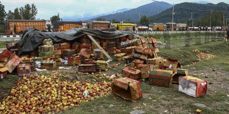 NHAI's 'Delay' in Fixing Jammu-Srinagar Highway Has Cost Kashmir's Apple Farmers Dearly