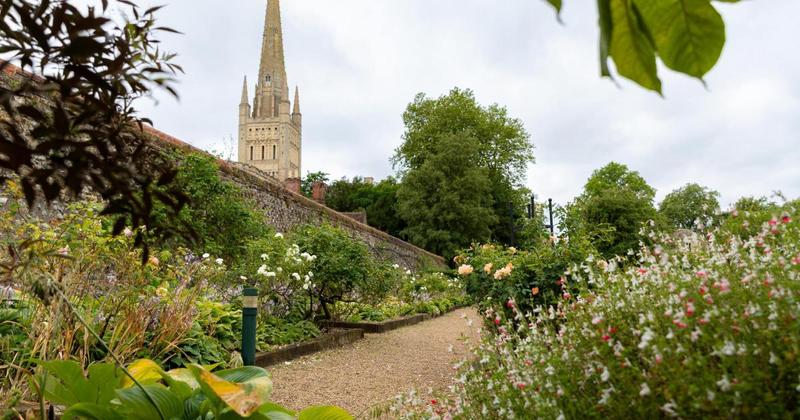 City garden raises more than £20,000 for Norfolk charities