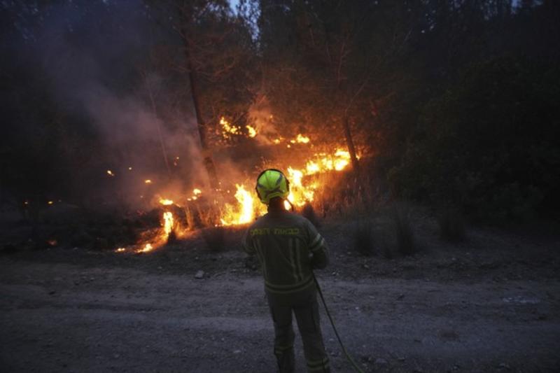 Destroying Roadless Protections Causes Waste and Bureaucracy