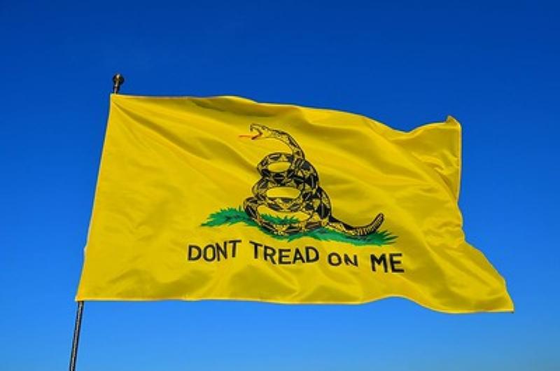 The Gun Control Canard