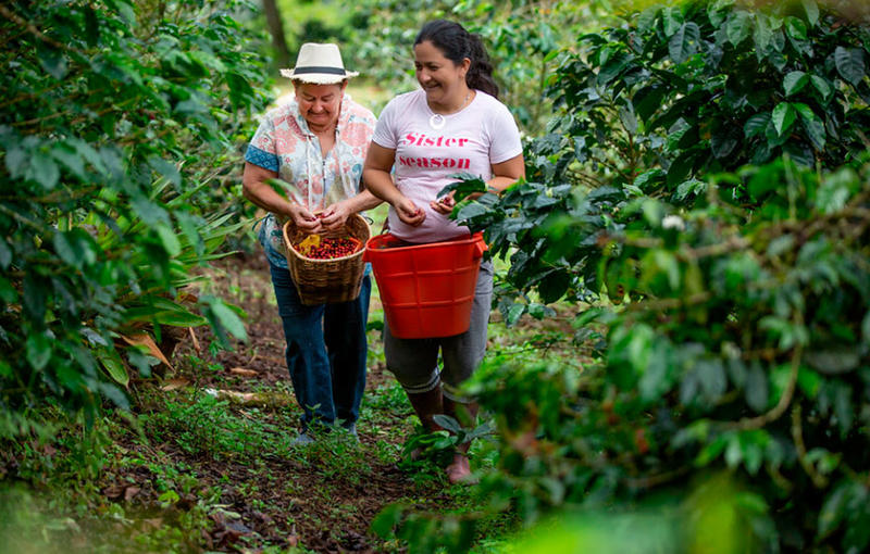 Dos caras de la caída del desempleo: Medellín aporta, el campo no tanto