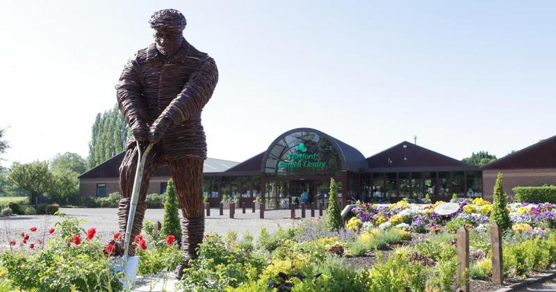 Garden centre to unveil new Christmas displays in special event