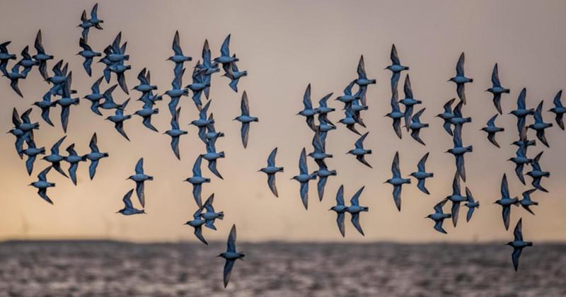 Corner of Norfolk named among best places to spot autumn wildlife