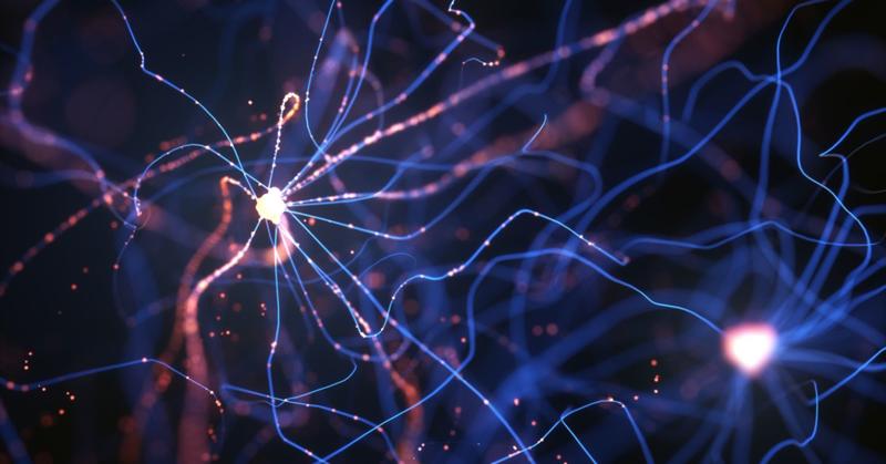 Getting Our Kids’ Brains Back on Track