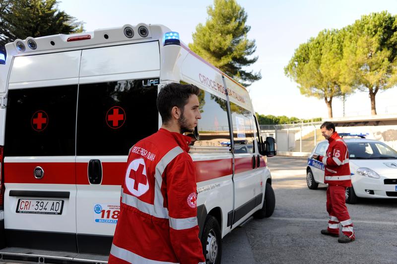 Azzannato alla testa dal cane di famiglia, grave bimbo di 3 anni
