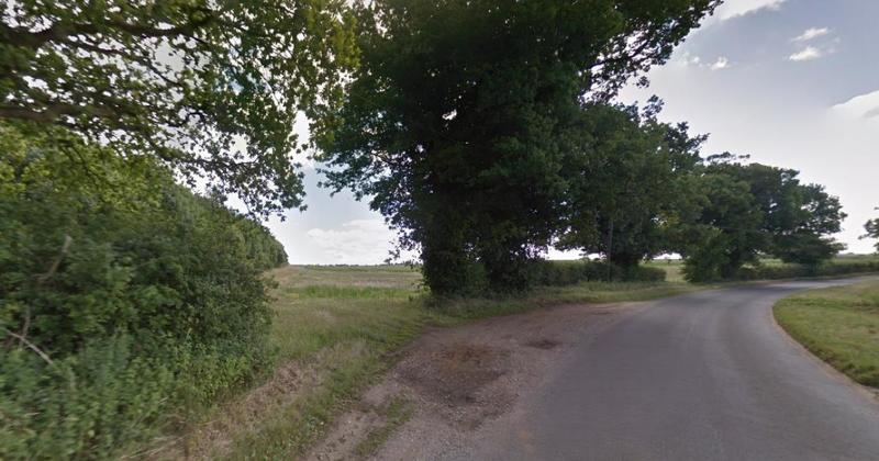 Go ahead for new dog walking field despite road safety fears