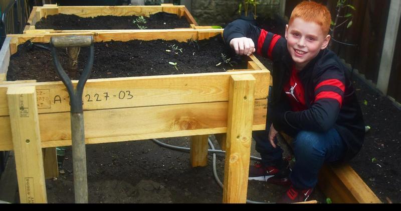 11-year-old starts his own chilli farm after trying Norfolk sauce