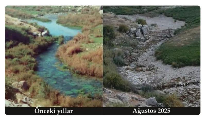 İspanya Bisiklet Turu’nda Filistin eylemleri