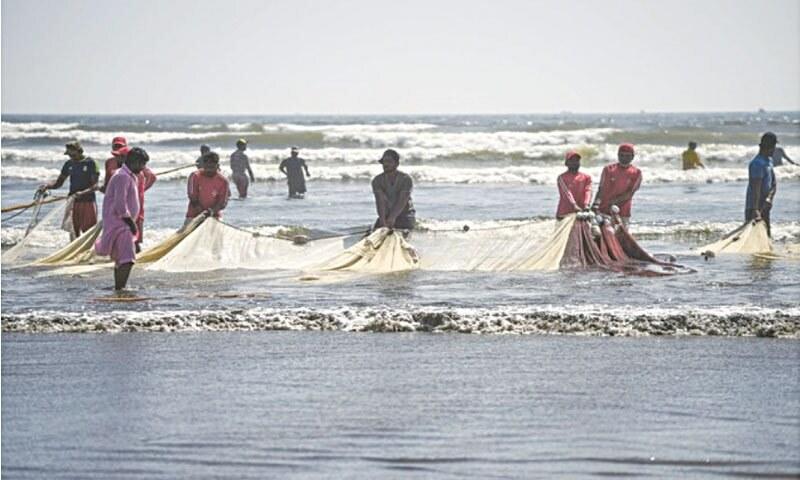DEVELOPMENT: TAPPING PAKISTAN’S BLUE ECONOMY
