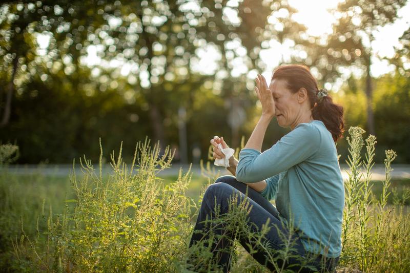 Parts of NZ could be heading into a wetter summer – a blessing in disguise for allergy sufferers