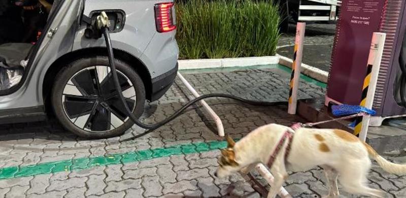 Até 100 km de diferença: como saber a autonomia certa de um carro elétrico